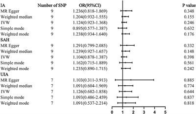 Hyperhomocysteinemia and intracranial aneurysm: A mendelian randomization study